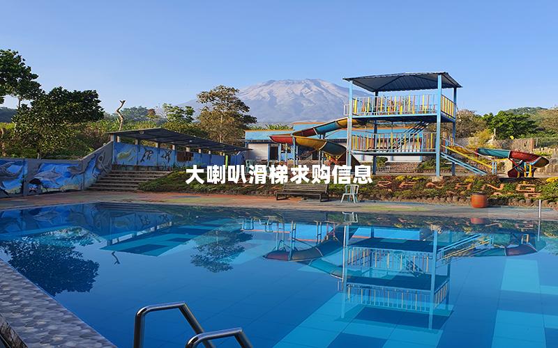 大喇叭滑梯求購(gòu)信息